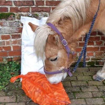 carrots
