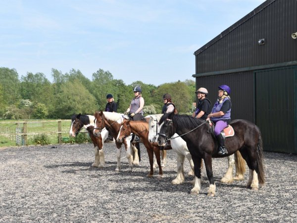 adult group riding lesson