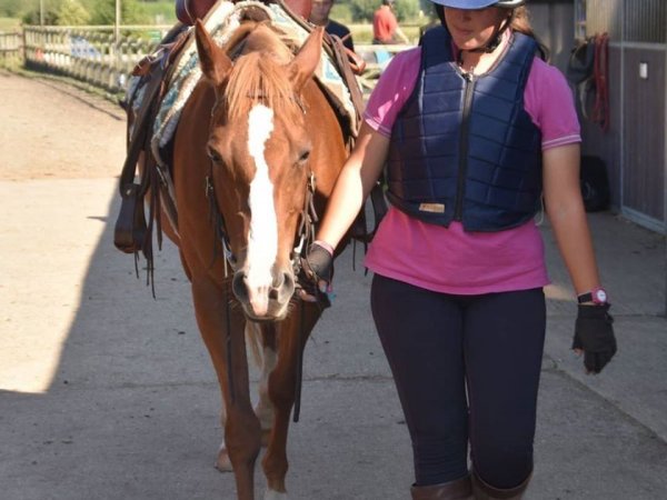 pony camp