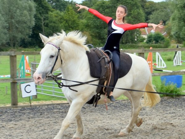 canter