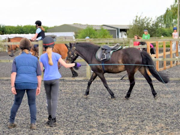 Pony trotting on a lunge line being coached by a trainer.