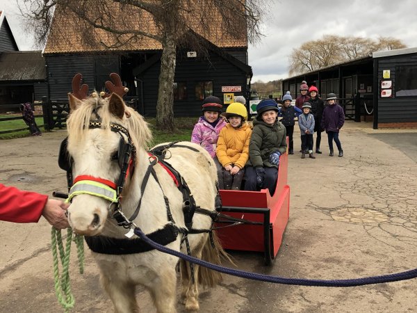 Pony pulling a red sleigh with children riding in it